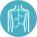 osteopatiaVisceral_SELENE osteopatiaVisceral_SELENE